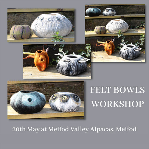 Felt Bowls Workshop